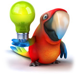 Fun parrot