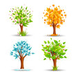 Vector: vector illustration of tree of different season vector illustration of tree of different season