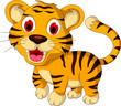 cute baby tiger walking