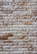 brick wall background