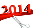 Inauguration of the new year, 2014