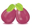 Two tasty plums with green leaves isolated on white background