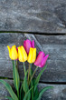 tulips on wooden table