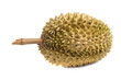durian fruit