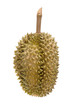 durian fruit
