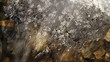 Ice Crust On Water Ice Crust On Water