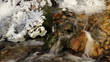 Water Stream In Winter With Ice
