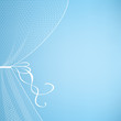 white tulle curtain