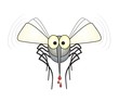 mosquito blood - anopheles