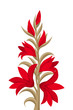 Red gladiolus flowers. Vector illustration.