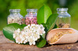 healing herbs in glass bottles, herbal medicine