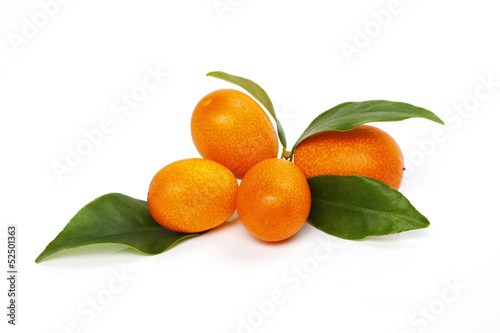 Photo: Kumquats Kumquats
