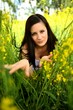 Photo: Spring Beauty Spring Beauty