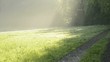 Video: tantzender Dunst am Morgen tantzender Dunst am Morgen