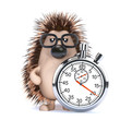 Cute hedgehog counts the seconds