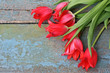 Photo: Red tulips Red tulips
