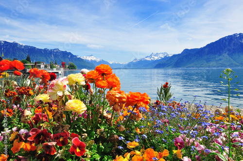 Photo: flowers, mountains ald lake flowers, mountains ald lake