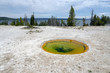 Geyser Basin nello Yellowstone National Park in Wyoming