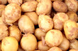 Young potatoes.
