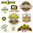 Set of Fresh Organic Labels and Elements