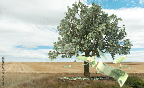 Photo: Money growing on trees Money growing on trees