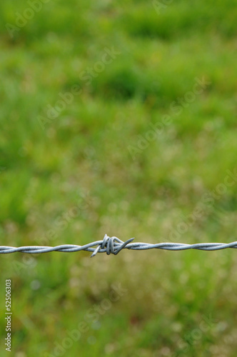 Photo: vertical picture of barbed wire in meadow vertical picture of barbed wire in meadow