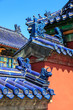 Rooftops of the forbidden city in Beijing