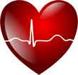 Herz EKG