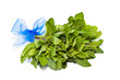 Fresh green bundle mint isolated on white