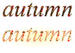 autumnal background