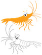 Shrimp