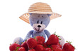 cute blue teddy bear with hat and fresh strawberries