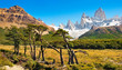 Beautiful landscape with Mt Fitz Roy in Patagonia, South America