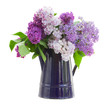 Photo: Lilac in garden pot Lilac in garden pot