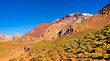 Hikers trekking in the Andes, Argentina, South America