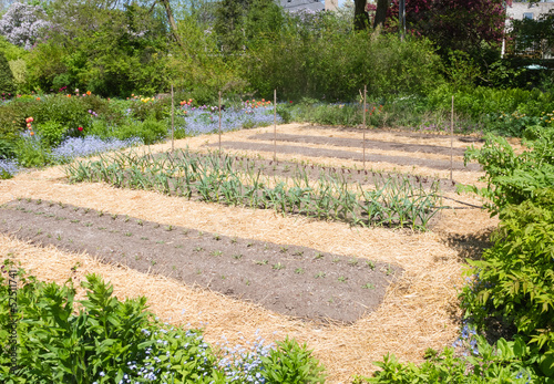 Photo: Vegetable Garden in early spring Vegetable Garden in early spring
