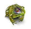Illustration: Environmental Damage And Conservation Environmental Damage And Conservation