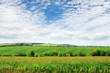 green field and sky with light clouds