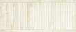 Wood pine plank white texture background