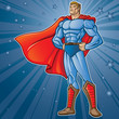Toon Hero