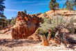Strange Outcropping at Red Canyon State Park