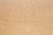 Photo: Sand texture Sand texture