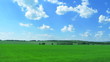 Beautiful green field with  sky and clouds. Time lapse