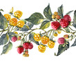 Illustration: Watercolor Raspberry Seamless Garland Watercolor Raspberry Seamless Garland