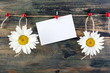 Daisies on fun clothespins and card.