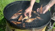 Video: man hand take fresh smoked fish from smokehouse man hand take fresh smoked fish from smokehouse