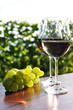 Foto: Pair of wineglasses and bunch of grapes. Lavaux region, Switzerl Pair of wineglasses and bunch of grapes. Lavaux region, Switzerl