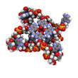 Telomere: structure of human telomeric DNA.