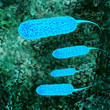 Ecoli bacterium - 3D Render