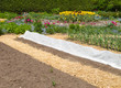 Vegetable Garden